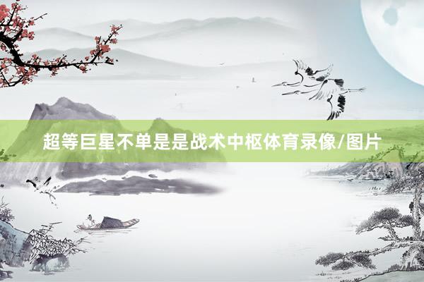 超等巨星不单是是战术中枢体育录像/图片