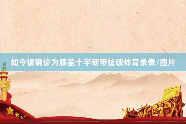 如今被确诊为膝盖十字韧带扯破体育录像/图片